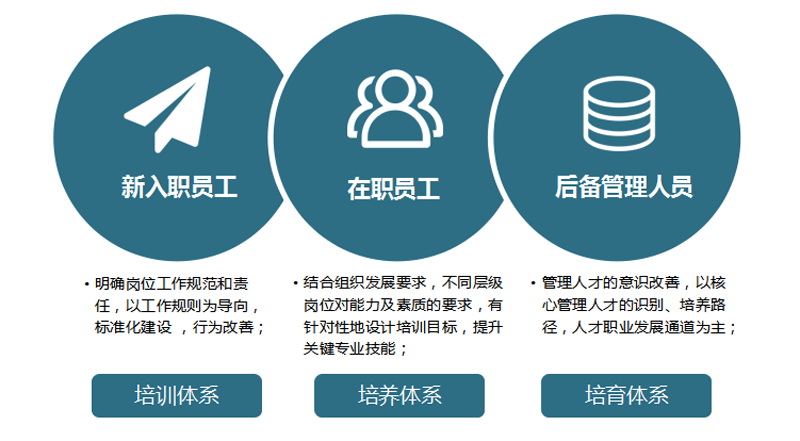 不同类型培训体系