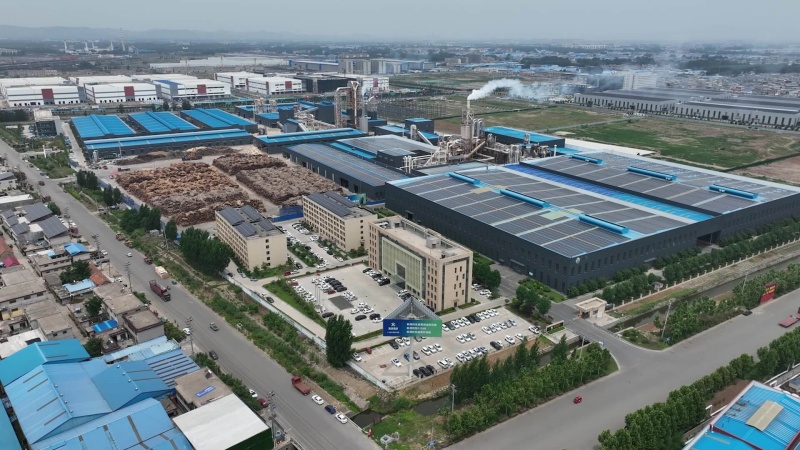 山东新港企业集团有限公司总部